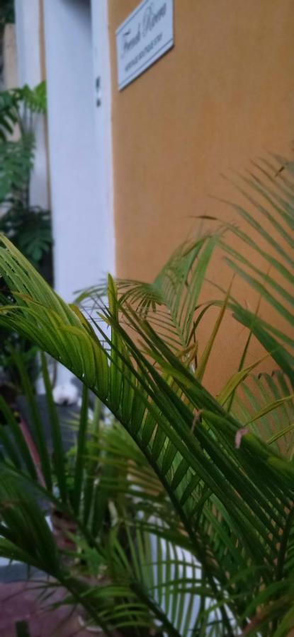 French Rivera Guest House Pondicherry Exteriör bild